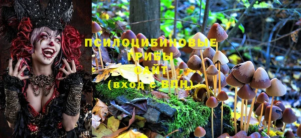 mdma Гвардейск