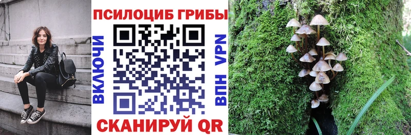 Галлюциногенные грибы Magic Shrooms  Гдов 